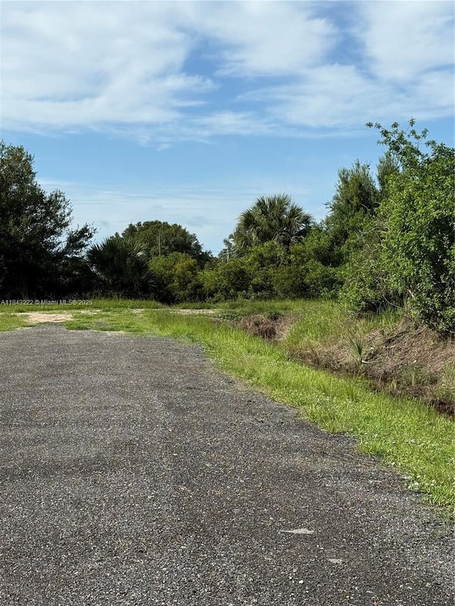 610 N Jinete St, Clewiston, FL 33440 - photo 15
