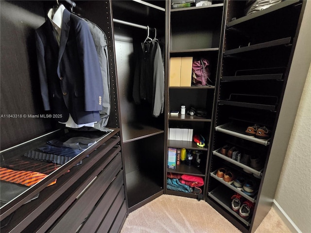 15072 SW 117th Ter, Miami, FL 33196 - photo 38