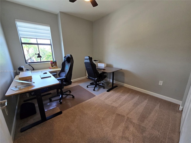 15072 SW 117th Ter, Miami, FL 33196 - photo 43