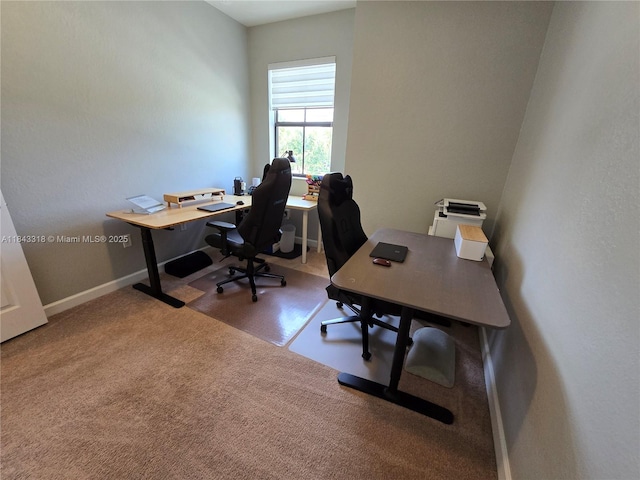15072 SW 117th Ter, Miami, FL 33196 - photo 44