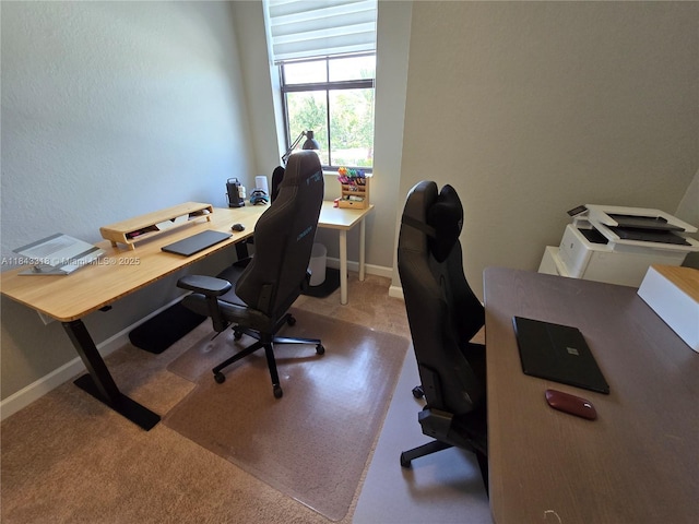 15072 SW 117th Ter, Miami, FL 33196 - photo 45