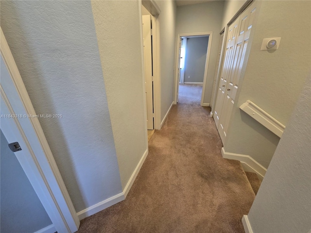 15072 SW 117th Ter, Miami, FL 33196 - photo 51