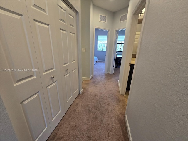 15072 SW 117th Ter, Miami, FL 33196 - photo 53