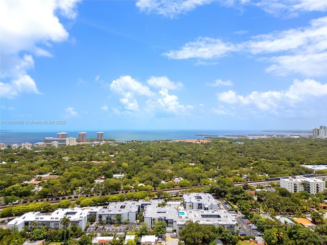 2465 SW 18th Ave Unit 3208, Miami, FL 33145 - photo 10