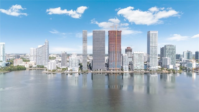 700 NE 24th St Unit 4203, Miami, FL 33137 - photo 36