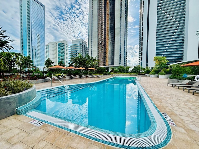 700 NE 24th St Unit 4203, Miami, FL 33137 - photo 49
