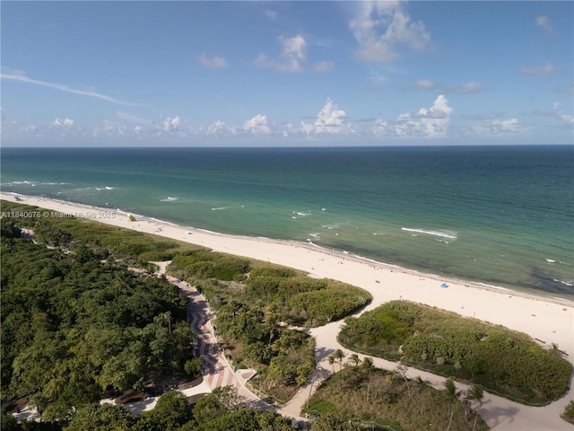7150 Indian Creek Dr Unit 206, Miami Beach, FL 33141 - photo 38