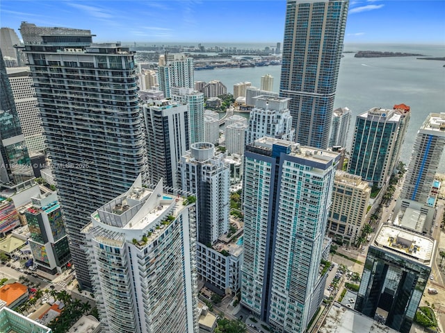 1100 S Miami Ave Unit 4204, Miami, FL 33130 - photo 52