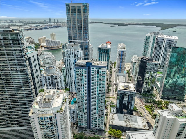 1100 S Miami Ave Unit 4204, Miami, FL 33130 - photo 53