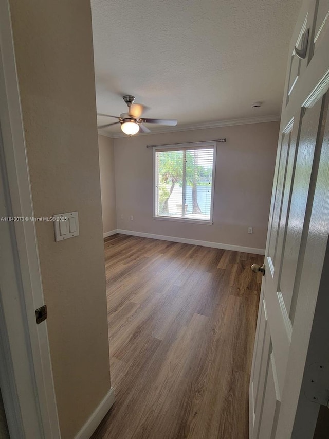 22032 SW 95th Pl, Cutler Bay, FL 33190 - photo 10