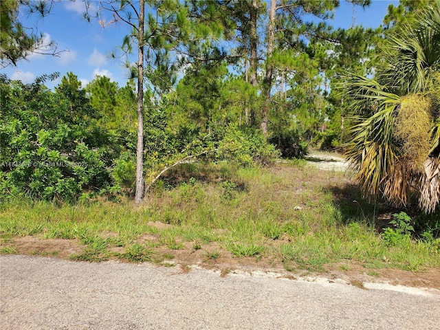 1201 Thompson Ave, Lehigh Acres, FL 33972 - photo 1
