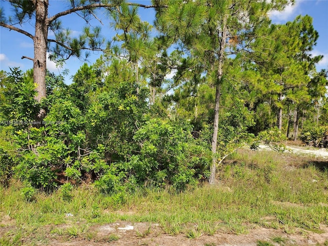 1201 Thompson Ave, Lehigh Acres, FL 33972 - photo 2