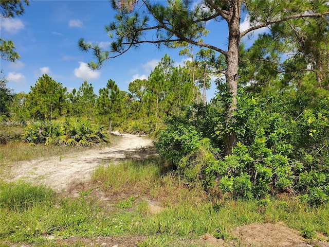 1201 Thompson Ave, Lehigh Acres, FL 33972 - photo 3