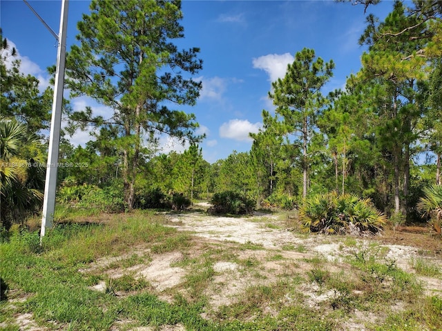1201 Thompson Ave, Lehigh Acres, FL 33972 - photo 4