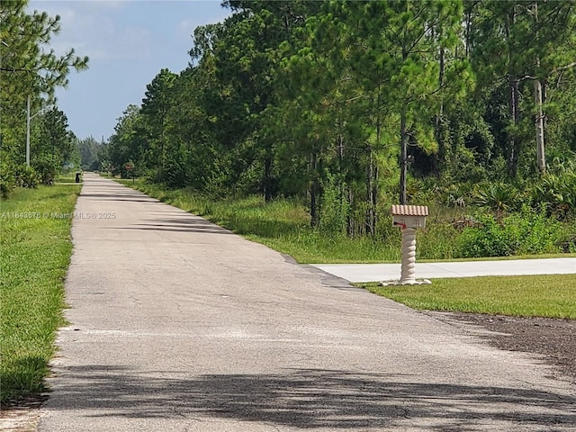 1201 Thompson Ave, Lehigh Acres, FL 33972 - photo 5