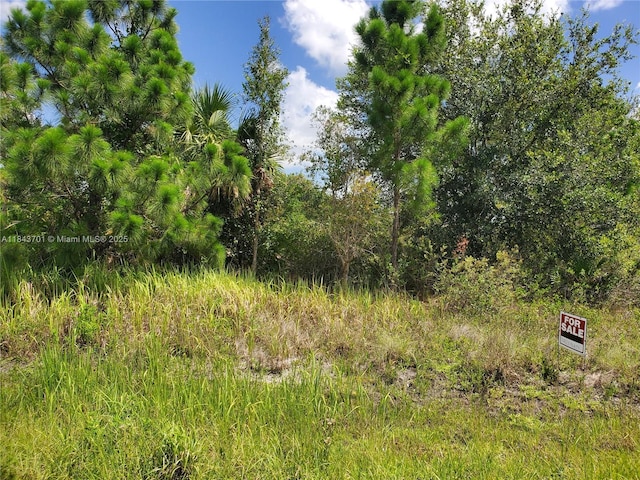 2706 55th St W, Lehigh Acres, FL 33971 - photo 2