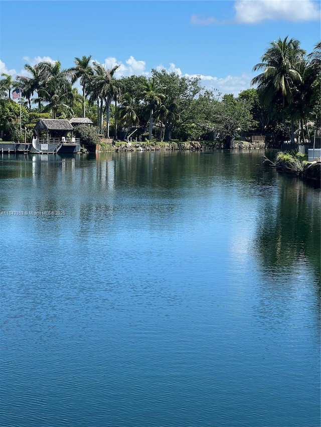 10261 Bonita Rd, Cutler Bay, FL 33157 - photo 43