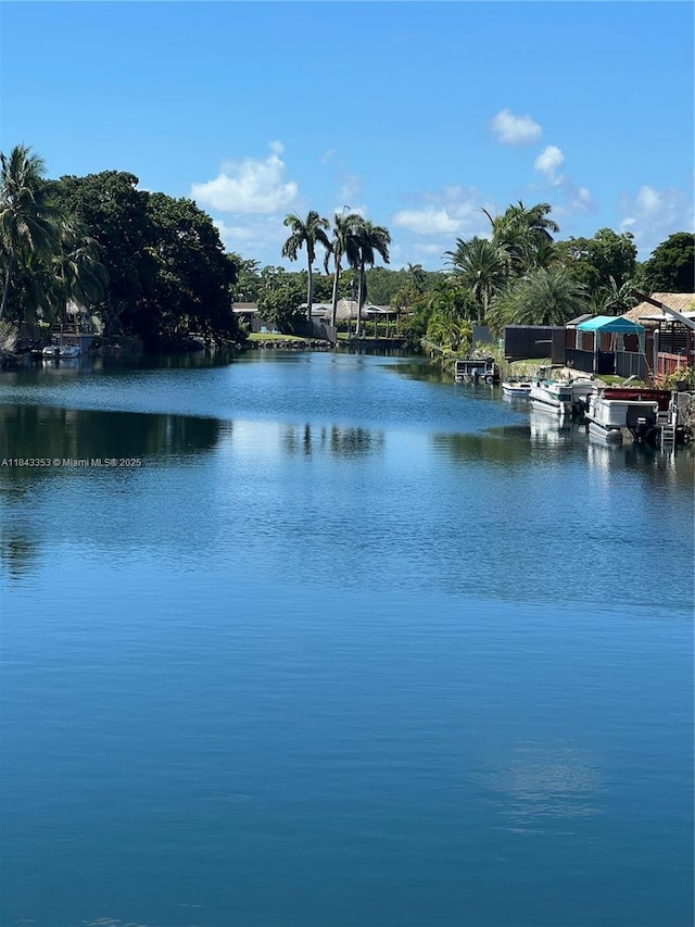 10261 Bonita Rd, Cutler Bay, FL 33157 - photo 44