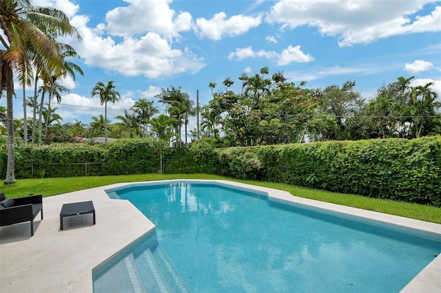 20 NE 104th St, Miami Shores, FL 33138 - photo 3