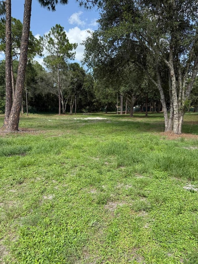 855 N Lindero St, Clewiston, FL 33440 - photo 13