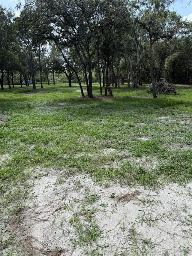 855 N Lindero St, Clewiston, FL 33440 - photo 24