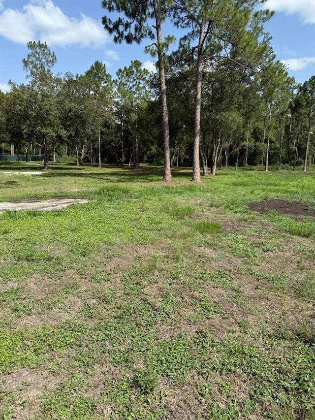 855 N Lindero St, Clewiston, FL 33440 - photo 43