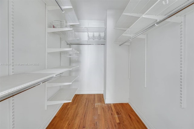 3045 Allamanda St Unit 3045, Miami, FL 33133 - photo 21