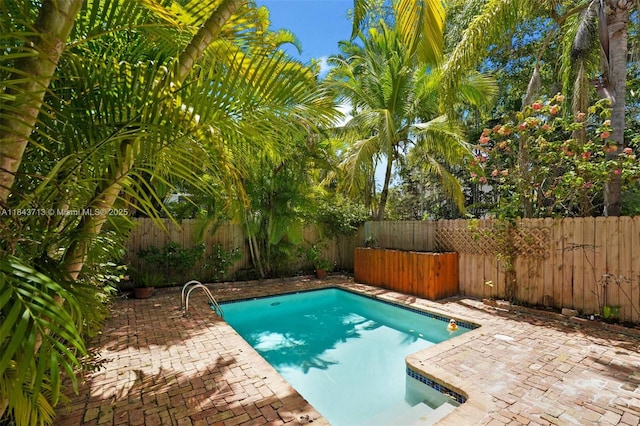 3045 Allamanda St Unit 3045, Miami, FL 33133 - photo 28