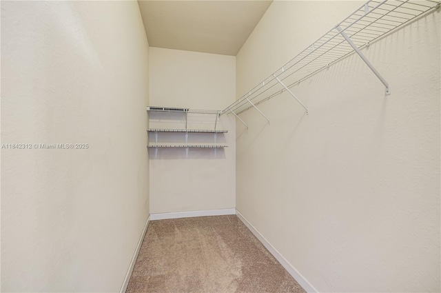 23634 SW 117th Pl, Homestead, FL 33032 - photo 19