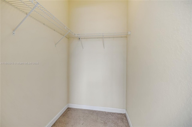 23634 SW 117th Pl, Homestead, FL 33032 - photo 25