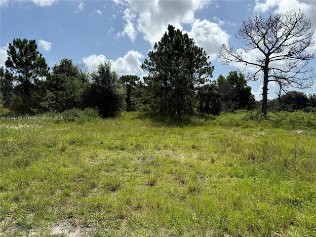 375 N Olivo St, Clewiston, FL 33440 - photo 3