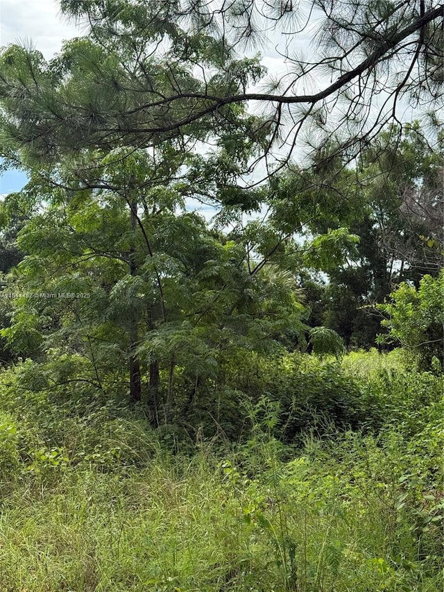 375 N Olivo St, Clewiston, FL 33440 - photo 11