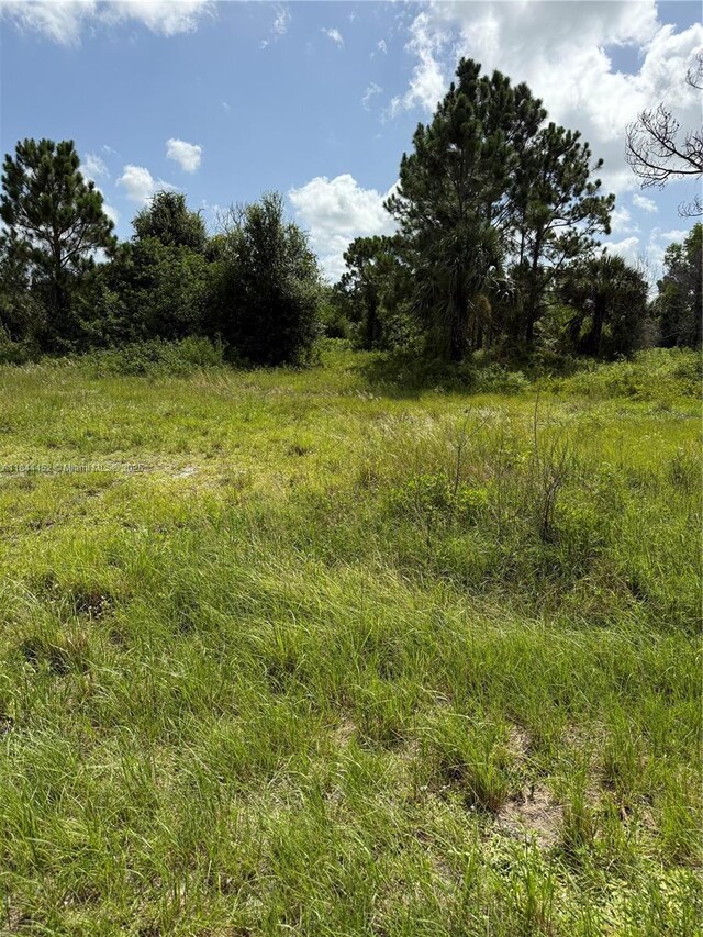 375 N Olivo St, Clewiston, FL 33440 - photo 14