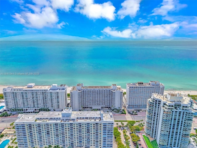 5555 Collins Ave Unit 17A, Miami Beach, FL 33140 - photo 59