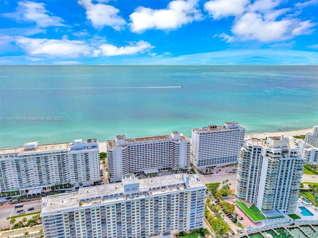 5555 Collins Ave Unit 17A, Miami Beach, FL 33140 - photo 61