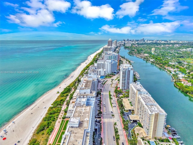 5555 Collins Ave Unit 17A, Miami Beach, FL 33140 - photo 67