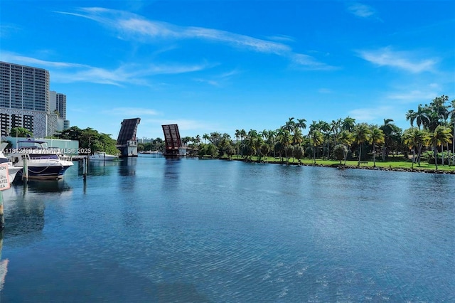 1720 NW N River Dr Unit 411, Miami, FL 33125 - photo 24