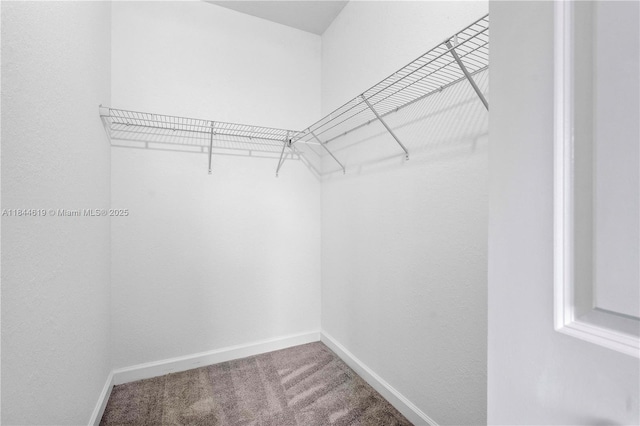 2751 SE 15th St, Homestead, FL 33035 - photo 20
