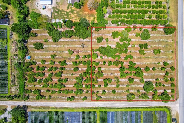 254XX SW 217th Ave, Homestead, FL 33031 - photo 8