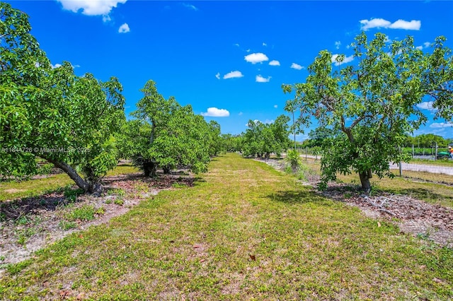 254XX SW 217th Ave, Homestead, FL 33031 - photo 9