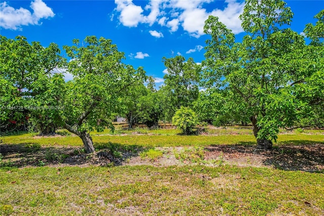 254XX SW 217th Ave, Homestead, FL 33031 - photo 10