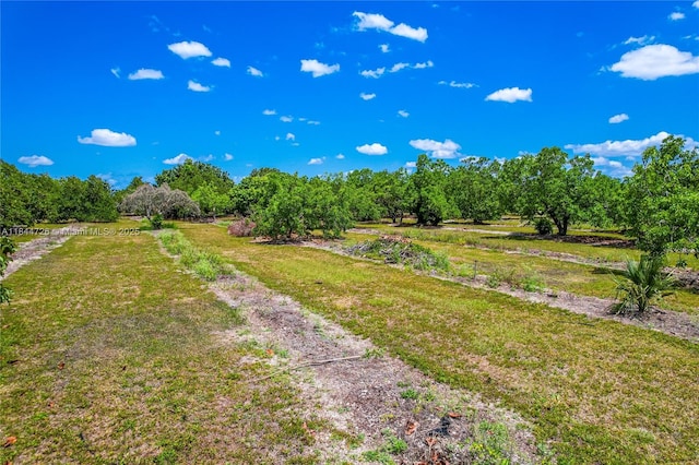 254XX SW 217th Ave, Homestead, FL 33031 - photo 11