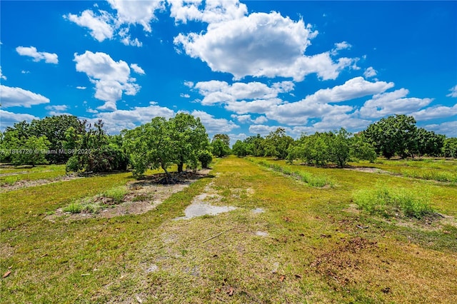 254XX SW 217th Ave, Homestead, FL 33031 - photo 12