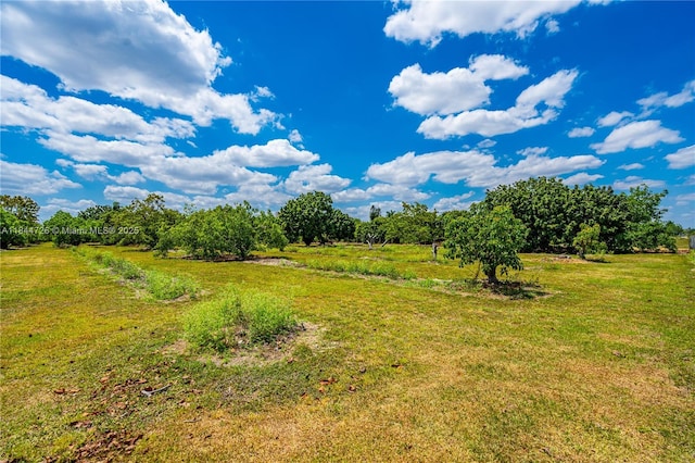 254XX SW 217th Ave, Homestead, FL 33031 - photo 13