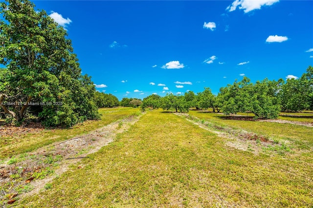 254XX SW 217th Ave, Homestead, FL 33031 - photo 14