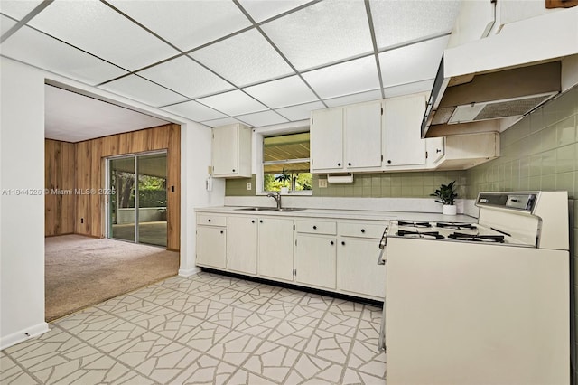 10480 SW 112th St, Miami, FL 33176 - photo 10