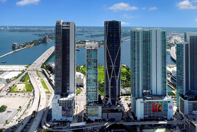 1040 Biscayne Blvd Unit 4402, Miami, FL 33132 - photo 30
