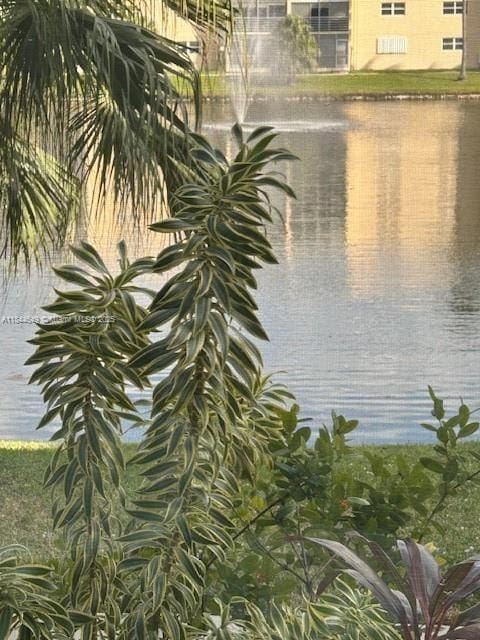 1025 SE 4th Ave Unit 106, Dania Beach, FL 33004 - photo 11