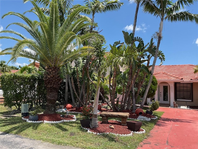 8453 NW 189 Street Rd, Hialeah, FL 33015 - photo 3