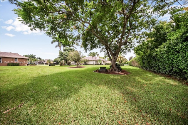 13103 SW 16th St, Davie, FL 33325 - photo 29